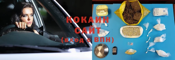 крисы Карпинск