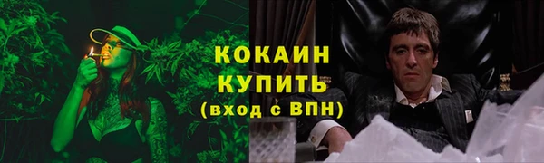 СК Каменск-Шахтинский