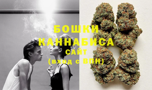 спиды Каменка