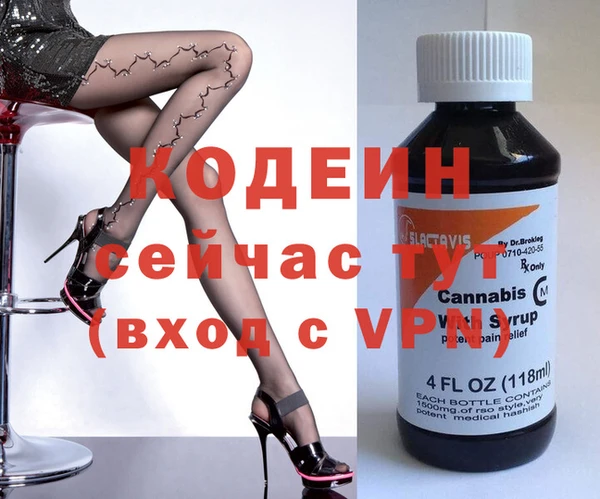 спиды Каменка