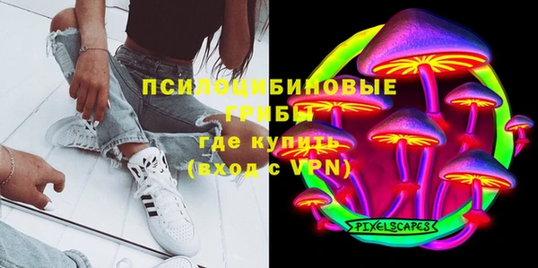 спиды Каменка