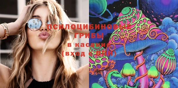 СК Каменск-Шахтинский