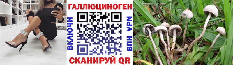 кракен ONION Комсомольск Псилоцибиновые грибы Cubensis